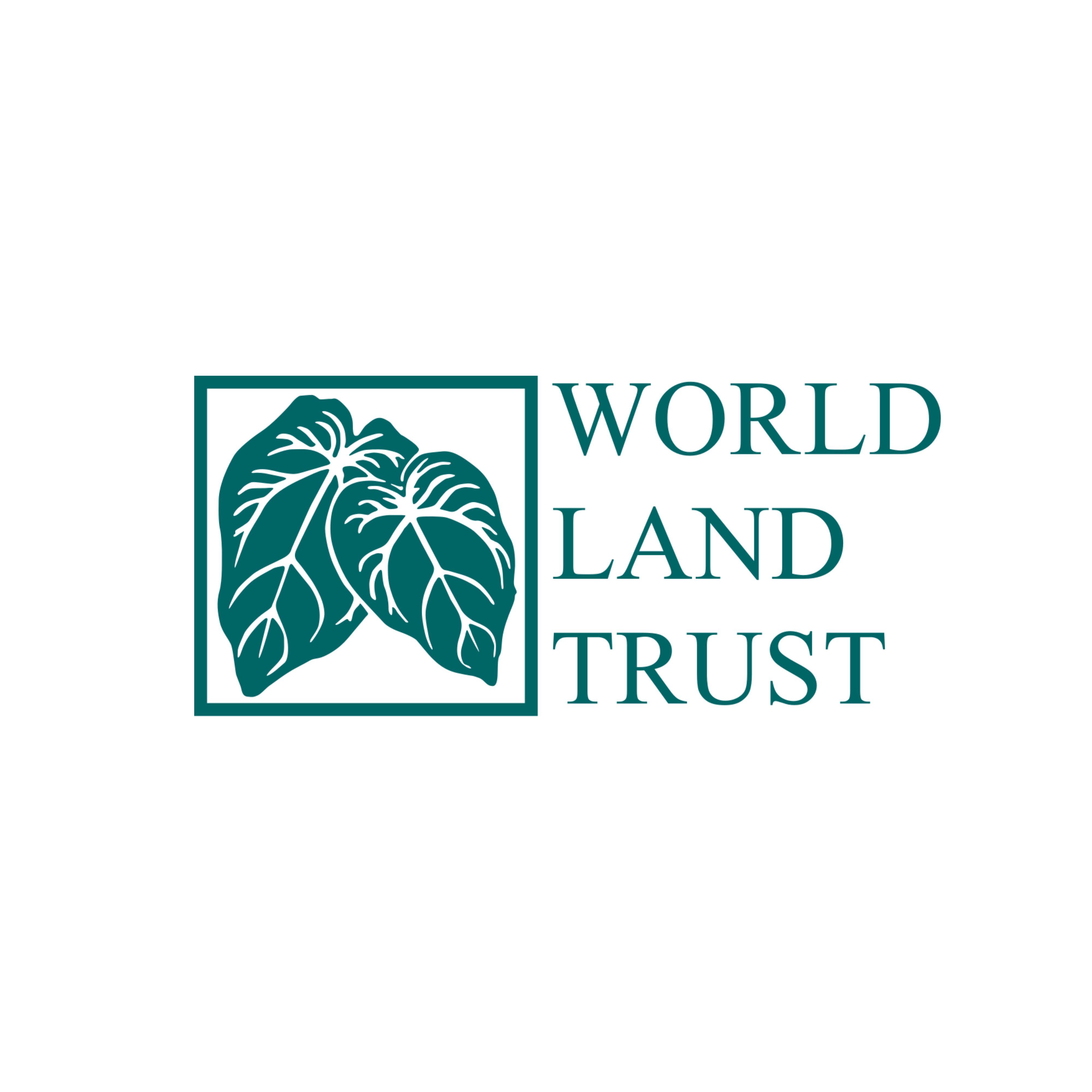 Finitas are sponsoring World Land Trust!